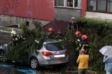 Rupere de nori la Braşov. Străzi inundate şi copaci doborâți de rafalele puternice
