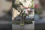 Spania, zguduită de un nou cutremur puternic. Imagini dramatice