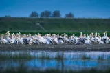 Undă verde pentru lucrări în Delta Dunării. Două canale vor fi curățate după aprobarea oficială
