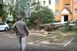 Vreme extremă în Europa: de la incendii, la ploi și vijelii