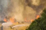 Un nou incendiu de vegetație a izbucnit în Creta. Zeci de pompieri intervin, iar riscul rămâne foarte ridicat în mai multe insule din Grecia
