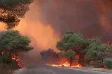 Europa, în flăcări! Valul de incendii a ajuns și în Olanda: imagini apocaliptice VIDEO
