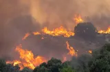 Sprijin european pentru Serbia. UE trimite elicoptere și pompieri pentru combaterea  incendiilor forestiere 