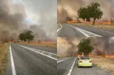 Incendiu de vegetație cu mai multe focare active în județul Gorj. Traficul pe DN 67 Târgu Jiu – Horezu este oprit-VIDEO