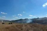 Incendiu de proporții în județul Botoșani. 50 de hectare de vegetație uscată au fost mistuite de flăcări