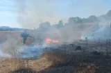  Incendii de vegetație în mai multe județe din România. Zeci de hectare de pădure și terenuri uscate au fost distruse de flăcări