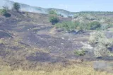 Incendiu de vegetație în Buzau. A fost emis un mesaj RO-Alert din cauza fumului dens