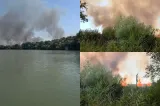 Incendiu puternic în apropiere de Chilia Veche. Flăcările amenință fondul forestier din zona Ostrovului Babina -VIDEO