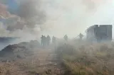 Incendiu masiv de vegetație în județul Sibiu. Aproximativ 50 de hectare au fost mistuite de flăcări