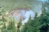 Incendiu de vegetație uscată și pădure la Mărișel, în Cluj. Terenul accidentat îngreunează intervenția pompierilor