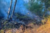 Incendiile de vegetație au făcut ravagii în Hunedoara.Peste 60 de hectare, mistuite de flăcări