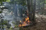 Incendiu de amploare în Mehedinți: peste 20 de hectare de pășune și pădure, afectate: intervin pompierii