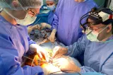 Tratamentul endovascular al anevrismelor aortice complexe