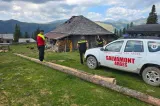 Alertă în zona Padina! Un cioban dispărut este căutat cu drona cu termoviziune şi câinele de salvare