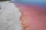 Lacul din Grecia care a devenit roz peste noapte. Fenomenul spectaculos are loc la 1.300 de kilometri de celebrul Lac Tuz din Turcia