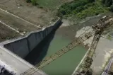Cum blochează mediul și ONG-urile autostrăzile? Liliecii și urșii au oprit proiecte de miliarde