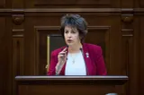 Niculina Stelea (senator AUR): „Economia României se prăbușește sub ochii noștri. Industria scade, prețurile cresc, iar românii sărăcesc”
