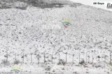 Iarnă în Africa de Sud: ninsorile au paralizat traficul. Drumuri și trecători, închise VIDEO
