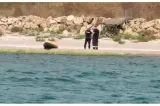 Persoană dispărută în mare, între Tuzla și Costinești. A fost găsit un caiac