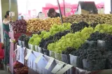 Legume și fructe, tot mai scumpe. Ce își mai permit românii?