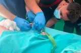 Misiune dificilă în Mureş. Pompierii au eliberat mâna unui copil de doi ani prinsă într-o maşină de tocat