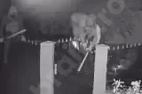 Isteria „strigoilor” de pe TikTok produce scene incredibile. O familie s-a trezit cu indivizi mascați în miezul nopții