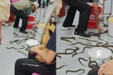 Panică într-un metrou din China: zeci de țipari au ajuns printre pasageri. Cum s-a transformat călătoria într-un adevărat coșmar