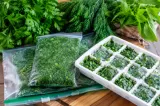 Cum congelezi corect verdețurile pentru iarnă. Metoda prin care rămân aromate și proaspete luni întregi
