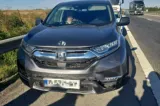 Accident pe A1: o mașină a lovit un porc. Trei persoane se aflau în autoturism