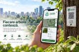 Asociația Re-Autentic și InfoCons dezvoltă o aplicație web pentru inventarierea arborilor din orașele României