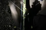 Șapte arme și sute de bile de plastic, găsite la un bărbat acuzat că a rănit un câine fără stăpân, în Constanța 