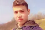 Ionuț, un tânăr ciobănaș, căutat de zeci de persoane: a plecat cu turma și nu s-a mai întors. Animalele au revenit singure