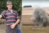 Ciobanul care a găsit drona căzută pe câmp, în Vaslui: „Am vrut să opresc drăcia aia, că bâzâia” VIDEO