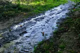 Industria și agricultura au redus puternic consumul de apă în România. INS: volumul distribuit a scăzut cu 14,5% în 2025
