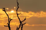 El Niño schimbă vremea în Europa. Toamnă foarte caldă și iarnă cu temperaturi peste normal