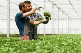 APIA îi avertizează pe fermieri. Termenele din Campania 2026 care trebuie respectate pentru a evita sancțiunile