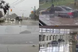 Furtuni violente în Toronto. Peste 50.000 de locuințe au rămas fără energie electrică-VIDEO