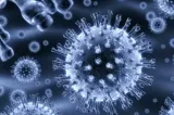 Alertă de hepatită A în judeţul Alba. Două focare active şi peste 130 de contacţi. DSP: Vaccinarea, refuzată de majoritatea contacţilor