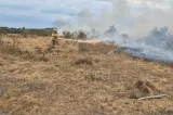 Incendii de pădure în Bihor și Vâlcea. Flăcările au afectat circa 25 de hectare