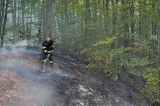 Incendiu la Băile Olănești, în apropiere de Schitul Iezer: aproximativ 13 hectare afectate
