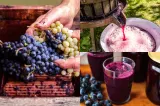  Când începe sezonul mustului. Ce beneficii are și cât de repede fermentează