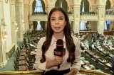 Surse: Consultări la Cotroceni în această săptămână. Nominalizarea premierului, posibilă săptămâna viitoare