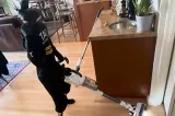 Roboții umanoizi care fură meseriile oamenilor. Servicii de curățenie la domiciliu