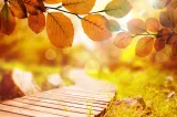 Prognoza meteo pentru următoarele patru săptămâni. Cum va fi vremea în România până pe 12 octombrie