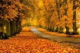 ANM, prognoza meteo pentru următoarele patru săptămâni. Cum va fi vremea în octombrie
