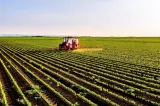 Egiptul a reluat achizițiile de pe piața internațională. România ar putea furniza din nou cereale pe piața egipteană