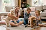 Caniche și Copiii: Cum se comportă în familie și cu alte animale