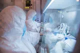 Colegiul Medicilor reacționează după alerta din Rusia. Ce trebuie să știe populația despre ciumă