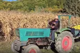 Motorina a devenit un lux. Fermierii culeg porumbul cu mâinile