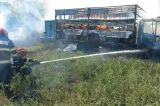 Incendiu puternic în județul Argeș. Un autocamion încărcat cu stupi a fost făcut scrum - FOTO